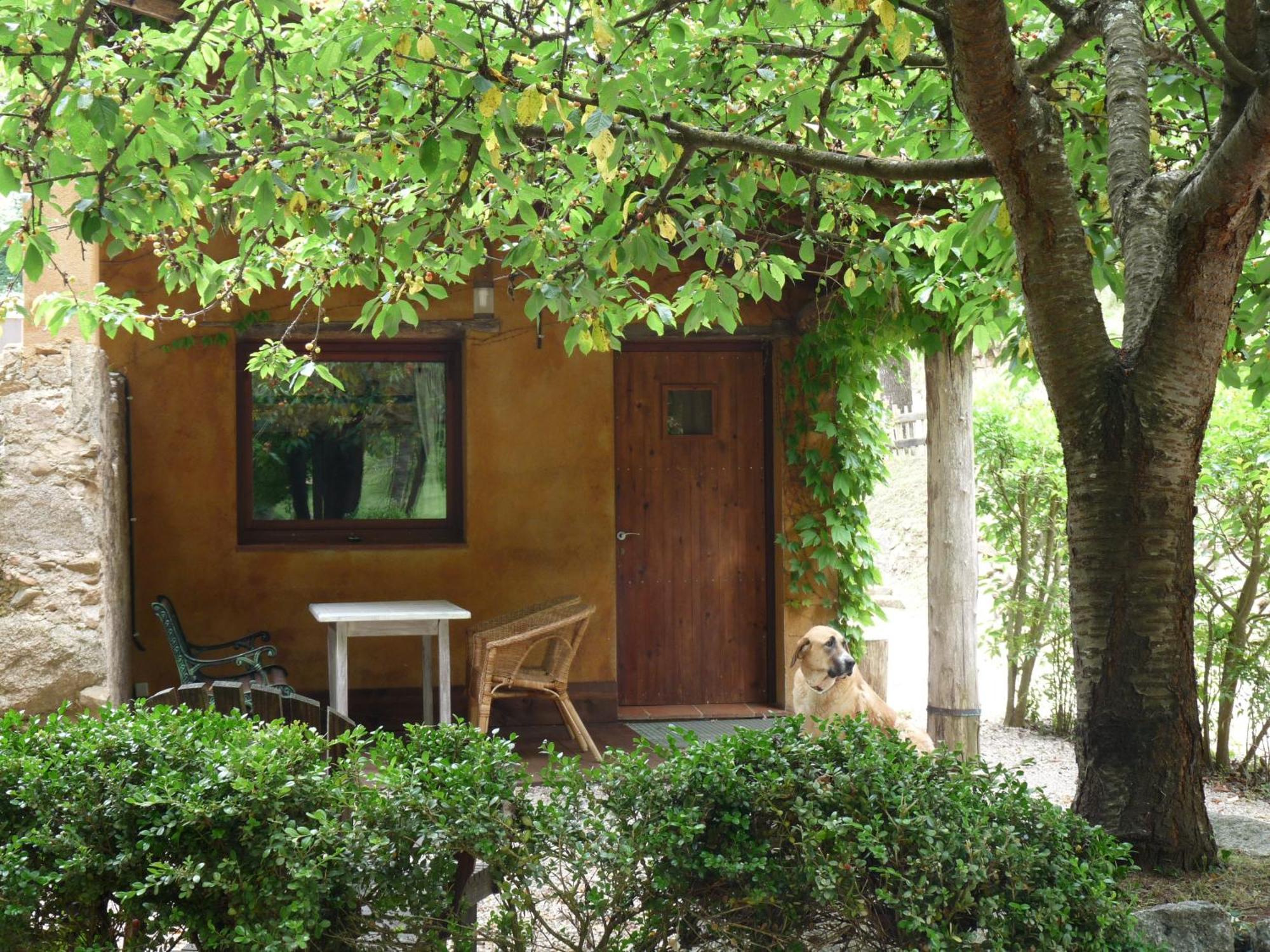 Masia El Moli De Can Aulet Arbúcies Exterior foto